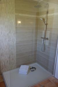 eine Dusche mit Glastür und ein Handtuch in der Unterkunft Ferienhaus Karlin in Börgerende-Rethwisch