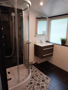 ein Bad mit einer Dusche und einem Waschbecken in der Unterkunft De Bosannemoon in Durbuy in Durbuy