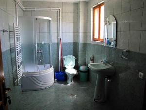 Un baño con ducha, inodoro y lavabo. en Casa Oana, en Sulina 16 fotos más