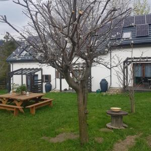 een picknicktafel en een boom in een tuin bij Osada nad Potokiem in Szczyrk