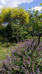 Fotografie z fotogalerie ubytování Apartment Zuza Krk v destinaci Krk