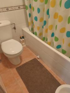 a bathroom with a toilet and a shower curtain at Navaluenga in Navaluenga +10 photos