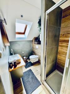 a bathroom with a shower and a sink and a toilet at Apartmány na Horce in Blata