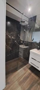 bagno con doccia in vetro e lavandino di Apartament przy Małej Panwi "II" a Opole
