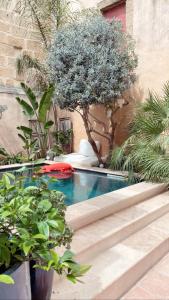 A piscina em ou perto de La Maison du Trident en Camargue Piscine et Jacuzzi