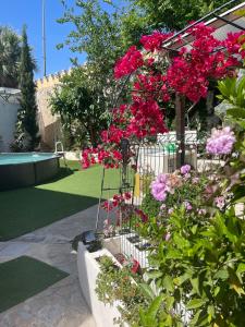a garden with pink flowers and a swimming pool at VALHOME in La Nucía
