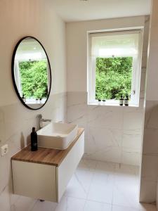 ein Bad mit einem Waschbecken und einem Spiegel in der Unterkunft Scandinavian Wellness met hottub & sauna in Ewijk
