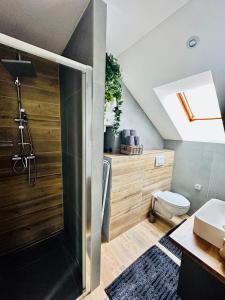 a bathroom with a shower and a toilet at Apartmány na Horce in Blata
