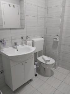 Łazienka w obiekcie Hill apartman - MAKSIMIR Rebro