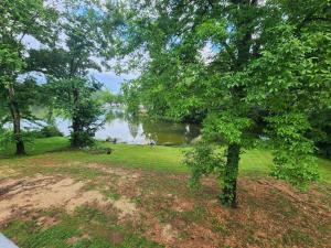 een uitzicht op een rivier met een boom en gras bij Couples lake house retreat. in Dayton