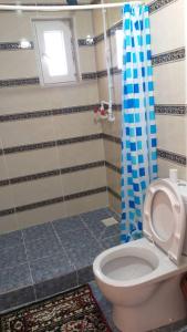 a bathroom with a toilet and a blue shower curtain at Guest house Umar in Tong