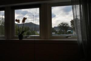 una finestra con un fiore in un vaso sul davanzale di una finestra di Nyrenovert leilighet med gratis parkering a Leknes
