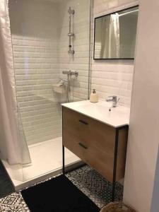 een badkamer met een wastafel en een douche bij T2 50m2 3*,centre ville,calme,lumineux charme in Rodez