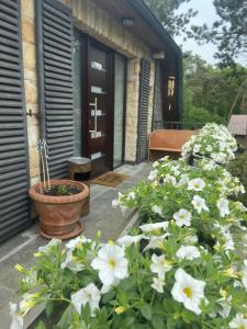 a porch with white flowers in front of a house at Villa Arche 3 in Neuenkirchen-Vörden +9 photos
