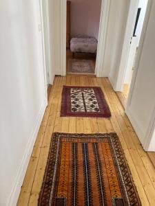 a hallway with two rugs on a wooden floor at La Maison D'Eugène in Guebwiller