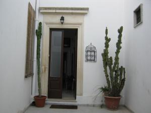 un corridoio con una porta e due piante cactus di B&B A casa delle zie a Novoli
