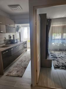 une cuisine avec une grande porte ouverte sur une pièce dans l'établissement Alexa Home, à Sânmartin