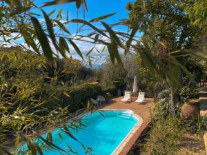 basen w ogrodzie z roślinami w obiekcie Casa Magnolia w mieście Dosríus