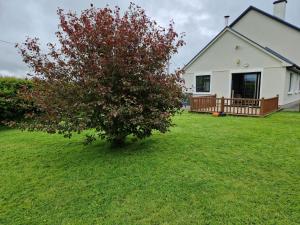 uma árvore num quintal ao lado de uma casa em Baker's Cross House em Listowel