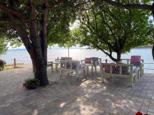 a group of tables and chairs under a tree next to the water at Apartments Lolo in Privlaka