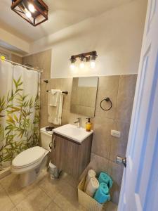 Un baño con inodoro, lavabo y ducha. en Cerrito Tropical Eco Lodge, en Taboga