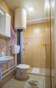 un bagno con un water e un lavandino di Fenix a Žabljak