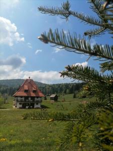 Příroda nedaleko apartmánu