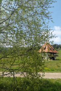Příroda nedaleko apartmánu