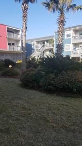Zahrada ubytování Quiet 2 bedroom condo on Gulf with pool and pond