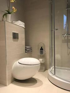 a white bathroom with a toilet and a shower at Topp moderne suite. in Larvik