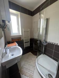 a bathroom with a sink and a shower and a toilet at Elegantný Byt v Srdci Mesta in Trenčín