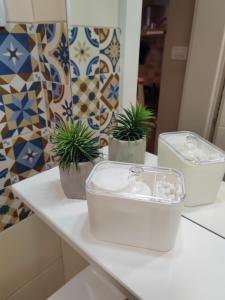 um balcão de casa de banho com duas plantas em vasos em Apartman_Krstić_1 em Subotica