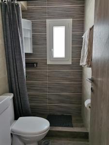 a bathroom with a toilet and a window at Mantalena's house in Antiparos