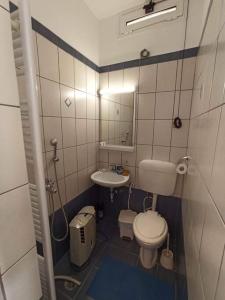 拉斐那的住宿－Takis house，一间带卫生间和水槽的小浴室