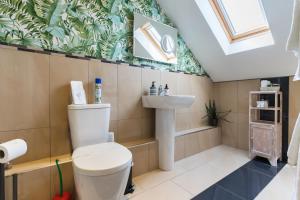 a bathroom with a toilet and a sink at Maes Bach Boutique GUEST HOUSE TOWN CENTRE in Aberystwyth