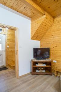 uma sala de estar com uma televisão e um tecto de madeira em Fenix em Žabljak