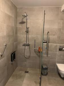 a bathroom with a shower and a toilet at Logies Ternier in Nieuwpoort