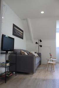 een woonkamer met een grijze bank en een tv bij Entre terre et Mer in Saint-Lormel