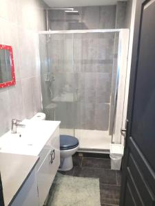 uma casa de banho com um chuveiro, um WC e um lavatório. em Loft ViaRhôna, Grand loft en Centre-Ville em Lyon
