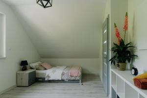 a bedroom with a bed and a plant at Domek pod Nowiną in Tylmanowa