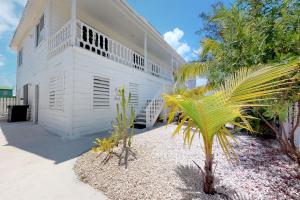 a white house with a palm tree in front of it at The French Lady Guest House - Entire House in Caye Caulker