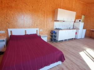 ein Schlafzimmer mit einem Bett und einer Küche darin in der Unterkunft Sol de Costacabana in Almería