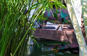 Ein Garten an der Unterkunft Leeloo Paradise