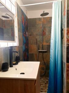 un bagno con lavandino e doccia di Bandol Appartement Terrasse a Bandol