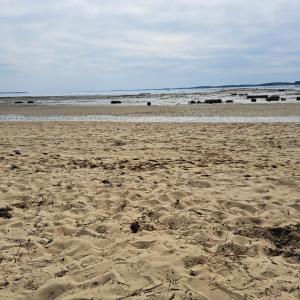 a sandy beach with footprints in the sand at Maison cosy Bassin d'arcachon in Arès