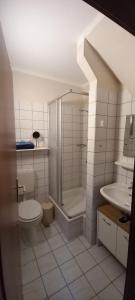 a bathroom with a shower and a toilet and a sink at Gemütliche FeWo Bi-Uns in Gustow