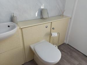 a bathroom with a white toilet and a sink at First Floor One bedroom Apartment Quiet Location in Stafford in Stafford