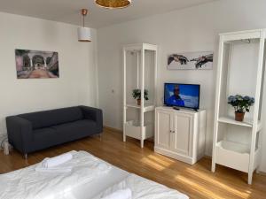 TV/trung tâm giải trí tại Peaceful Apartment for 4