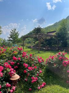 a garden with pink flowers and a wooden pergola at Chiesa Ignano 1778 in Marzabotto