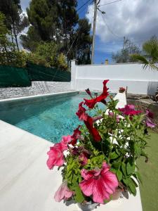 un jarrón de flores sentado junto a una piscina en Casita rural con piscina, en La Torre de Claramunt